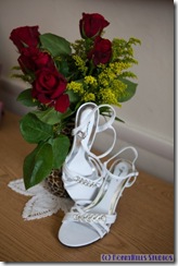 Wedding 2009