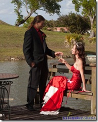 Wedding 2009