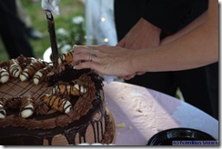 Wedding 2009