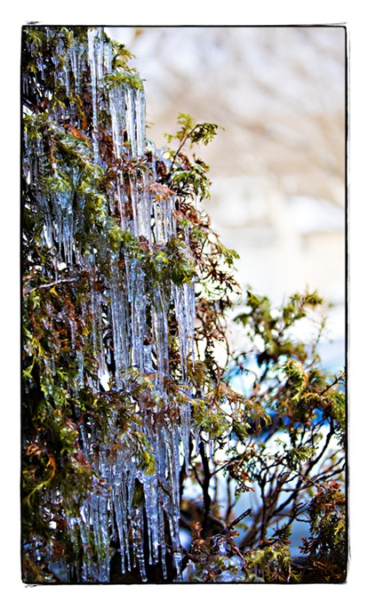 0125 Icicles