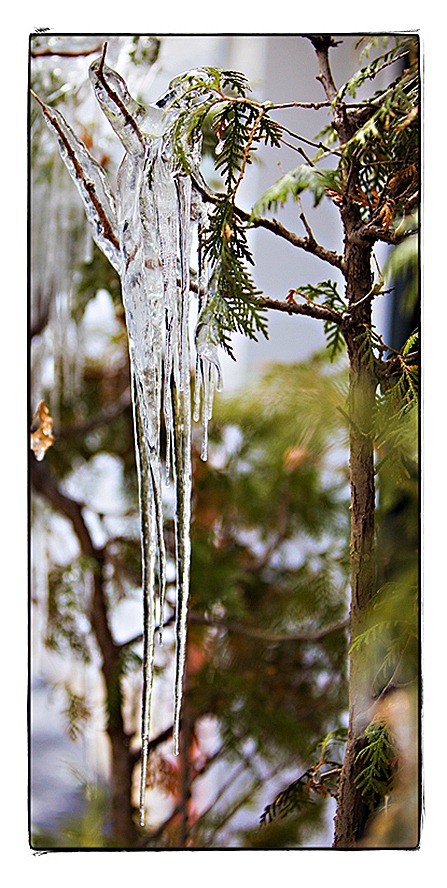 0128 Icicles