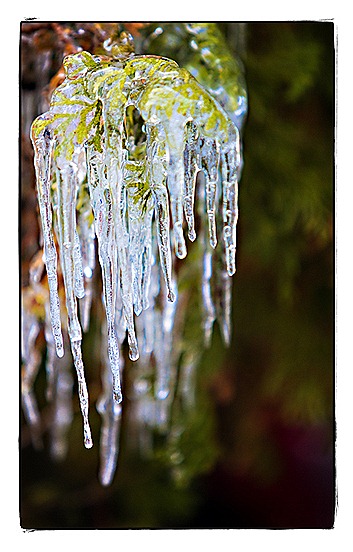 0138 Icicles